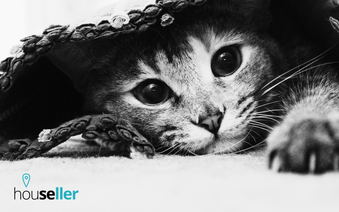 Bazuj na instynktach – emocjonalne potrzeby, które stoją za zakupem mieszkania