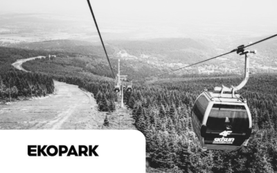 Szkolenie zespołu EKOPARK – rozwój na wysokości… i to dosłownie!